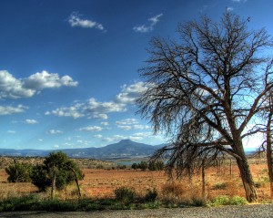 HDR New Mexico Picnic Area (1) by bmooneyatwork